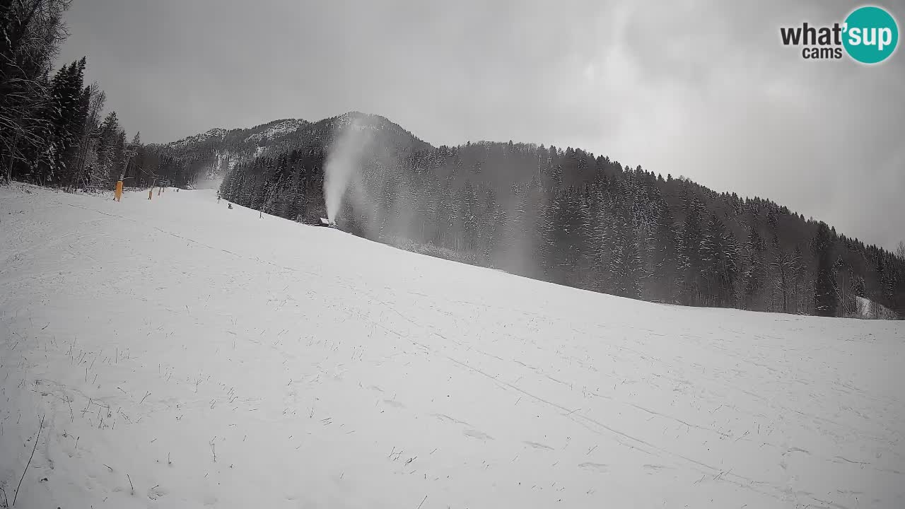 RTC Kranjska Gora | Brsnina