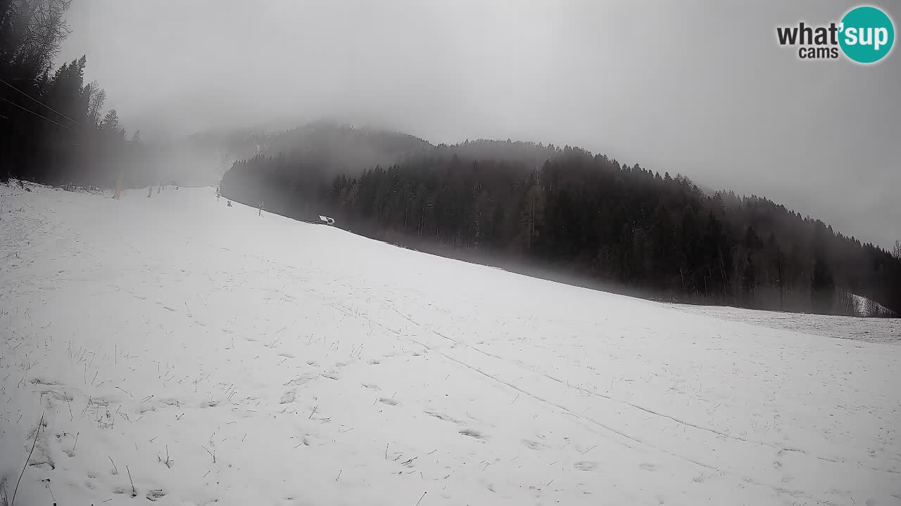 Kranjska Gora Station de ski | Brsnina