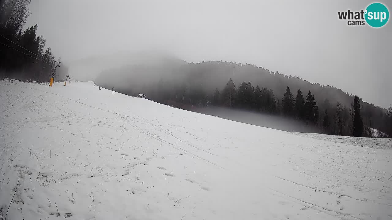 Comprensorio sciistico Kranjska Gora | Brsnina