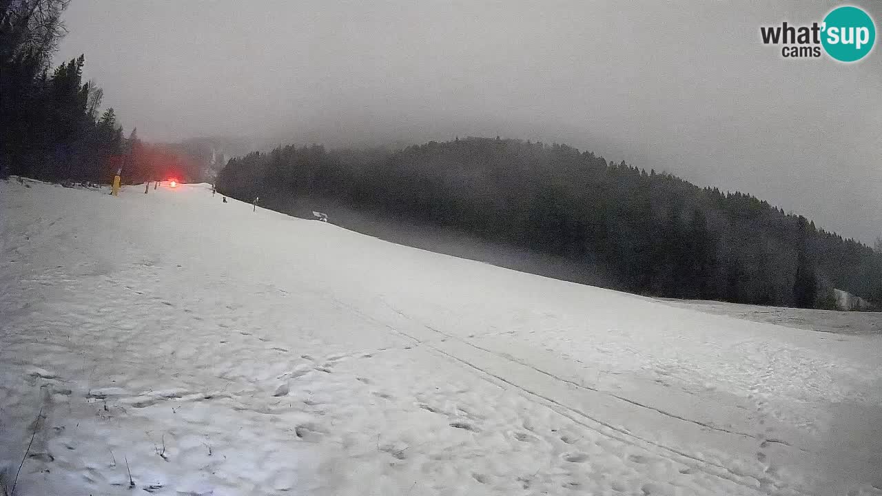 RTC Kranjska Gora | Brsnina