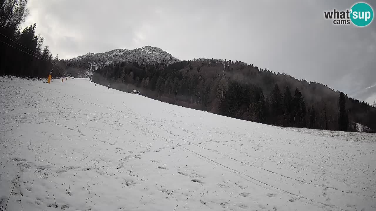 Kranjska Gora SKIJANJE | Brsnina