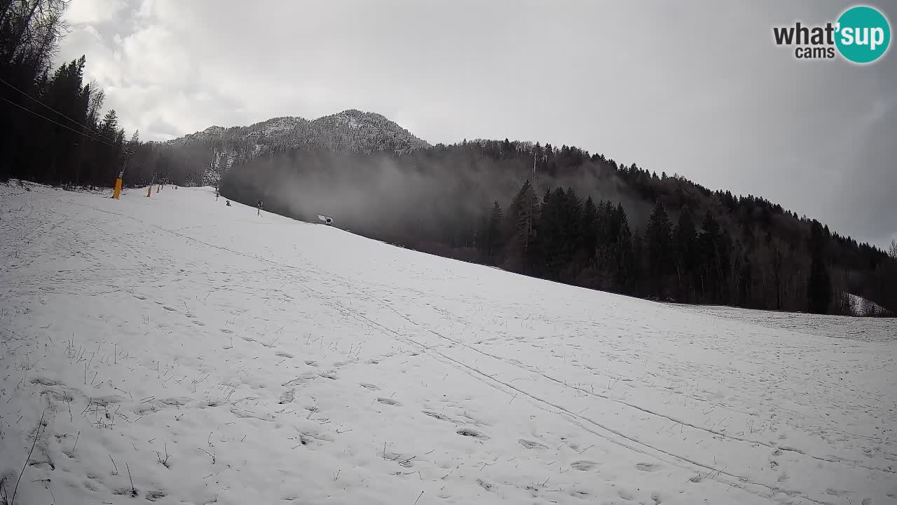 RTC Skigebiet Kranjska Gora | Brsnina