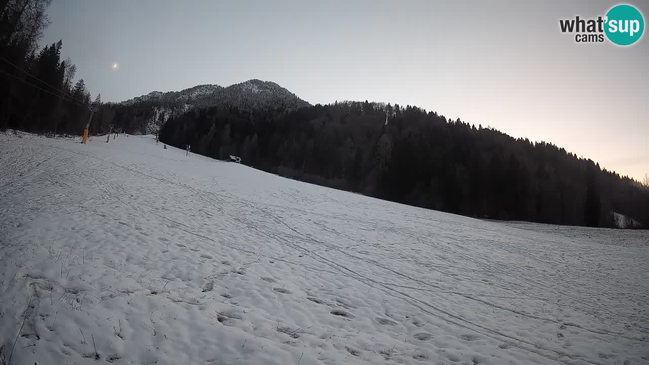 Ski Kranjska Gora | Brsnina