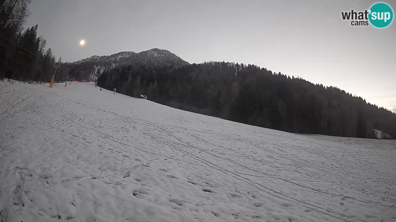 Ski Kranjska Gora | Brsnina