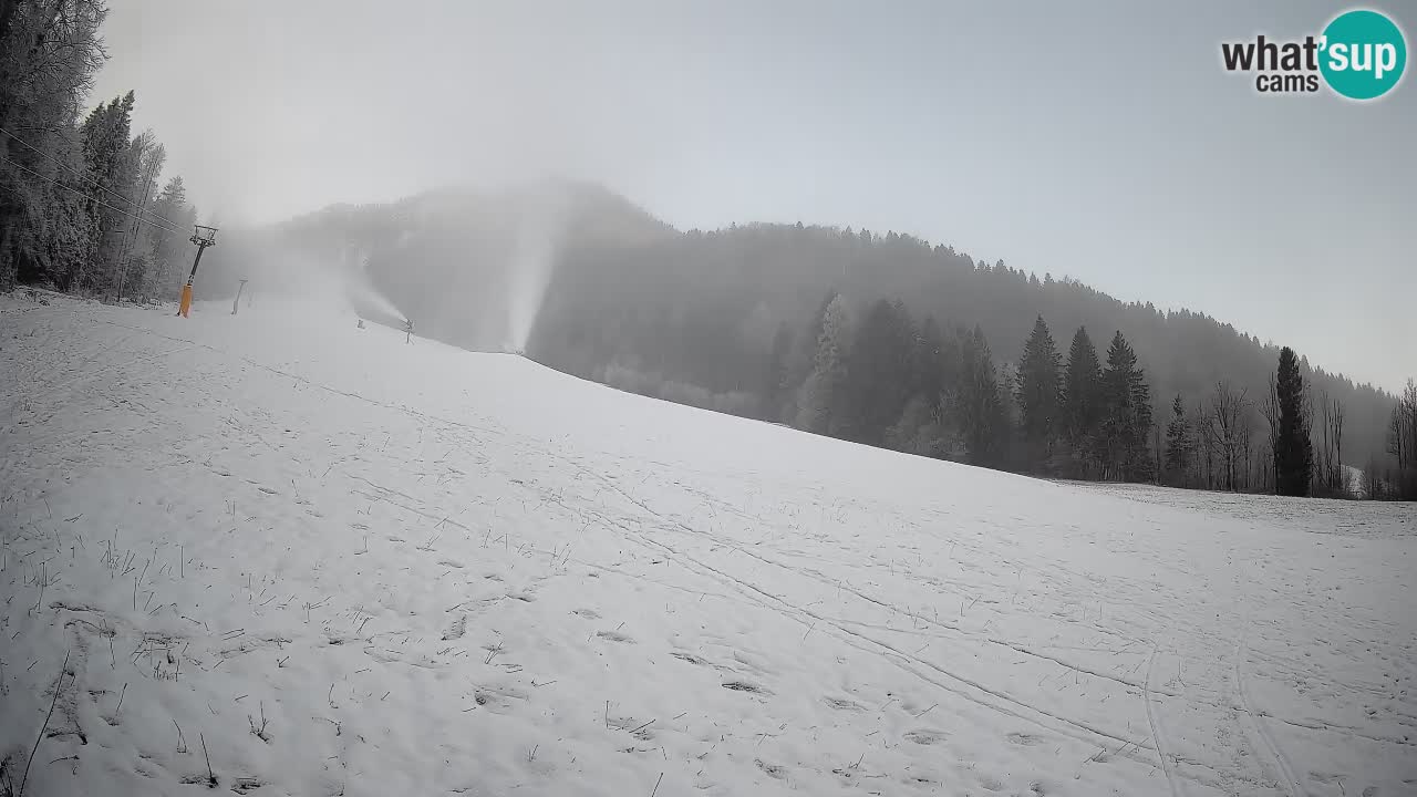 RTC Kranjska Gora | Brsnina