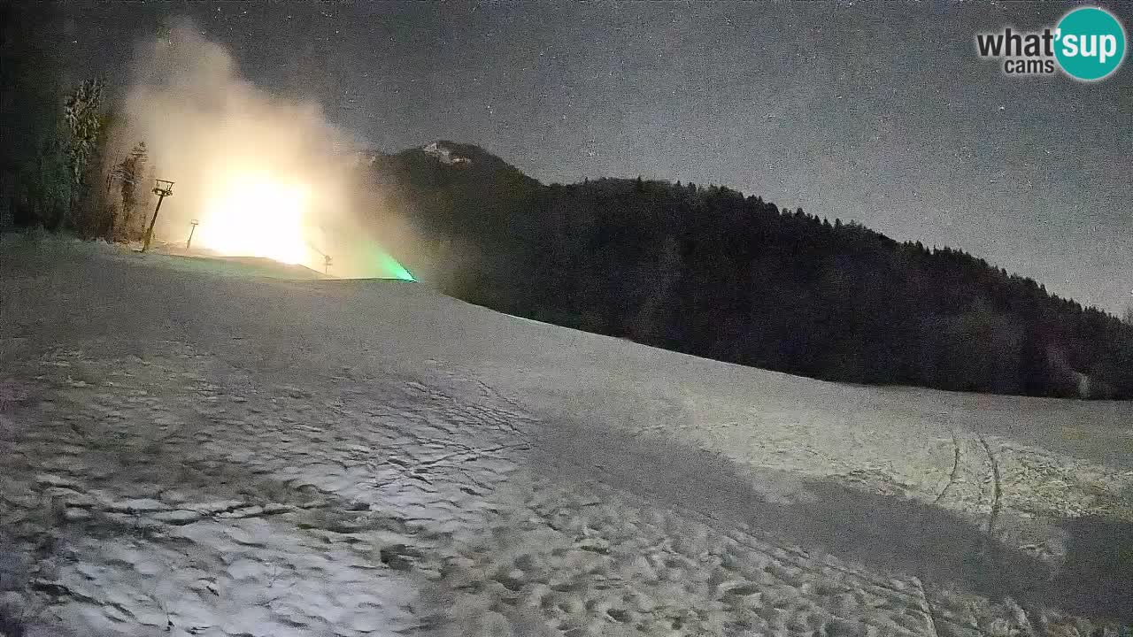 RTC Skigebiet Kranjska Gora | Brsnina