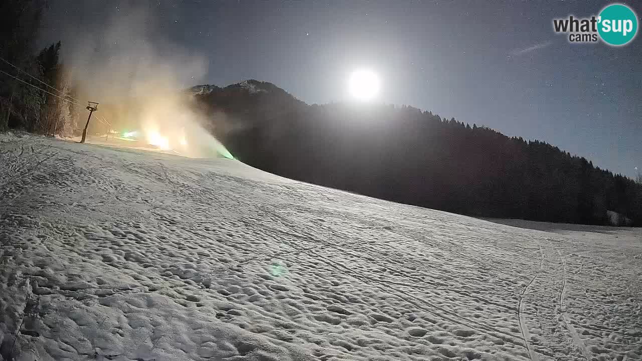 RTC Skigebiet Kranjska Gora | Brsnina