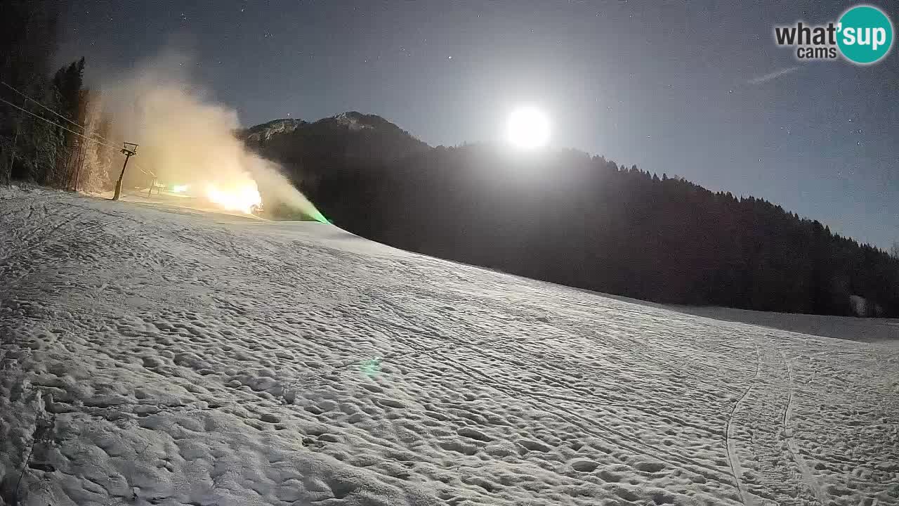 RTC Kranjska Gora | Brsnina