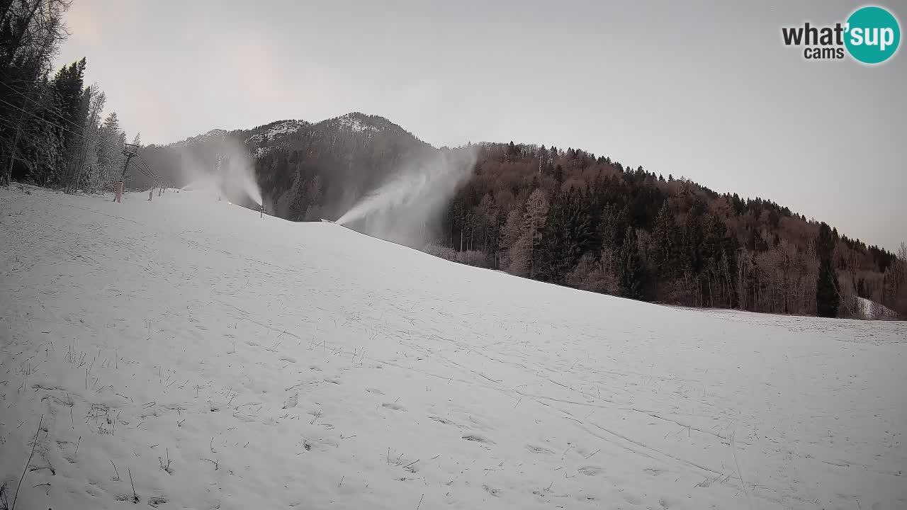 RTC Kranjska Gora | Brsnina