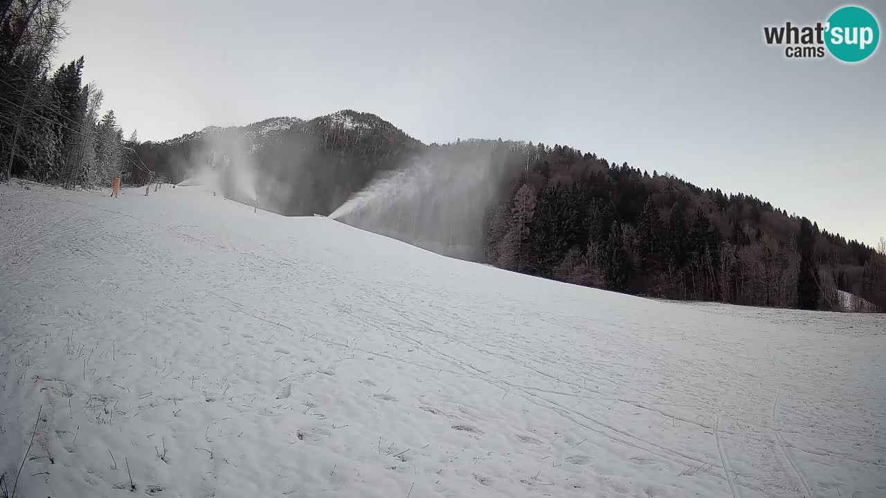 RTC Kranjska Gora | Brsnina