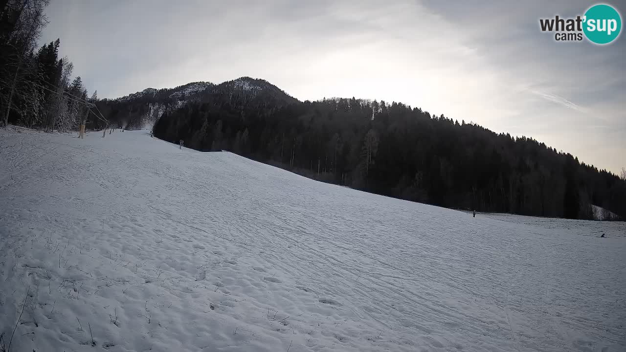 Kranjska Gora Station de ski | Brsnina