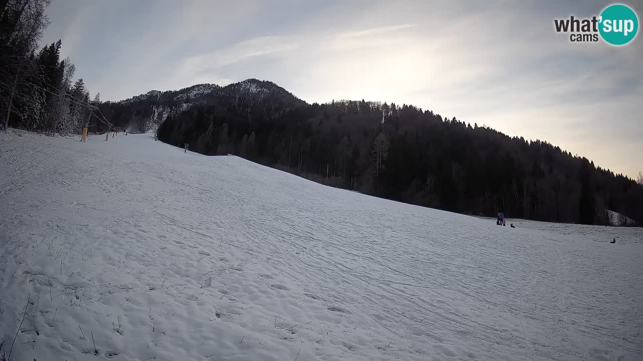 Kranjska Gora SKIJANJE | Brsnina