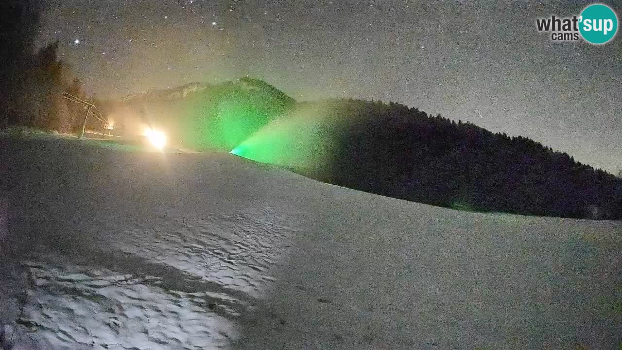 Ski Kranjska Gora | Brsnina