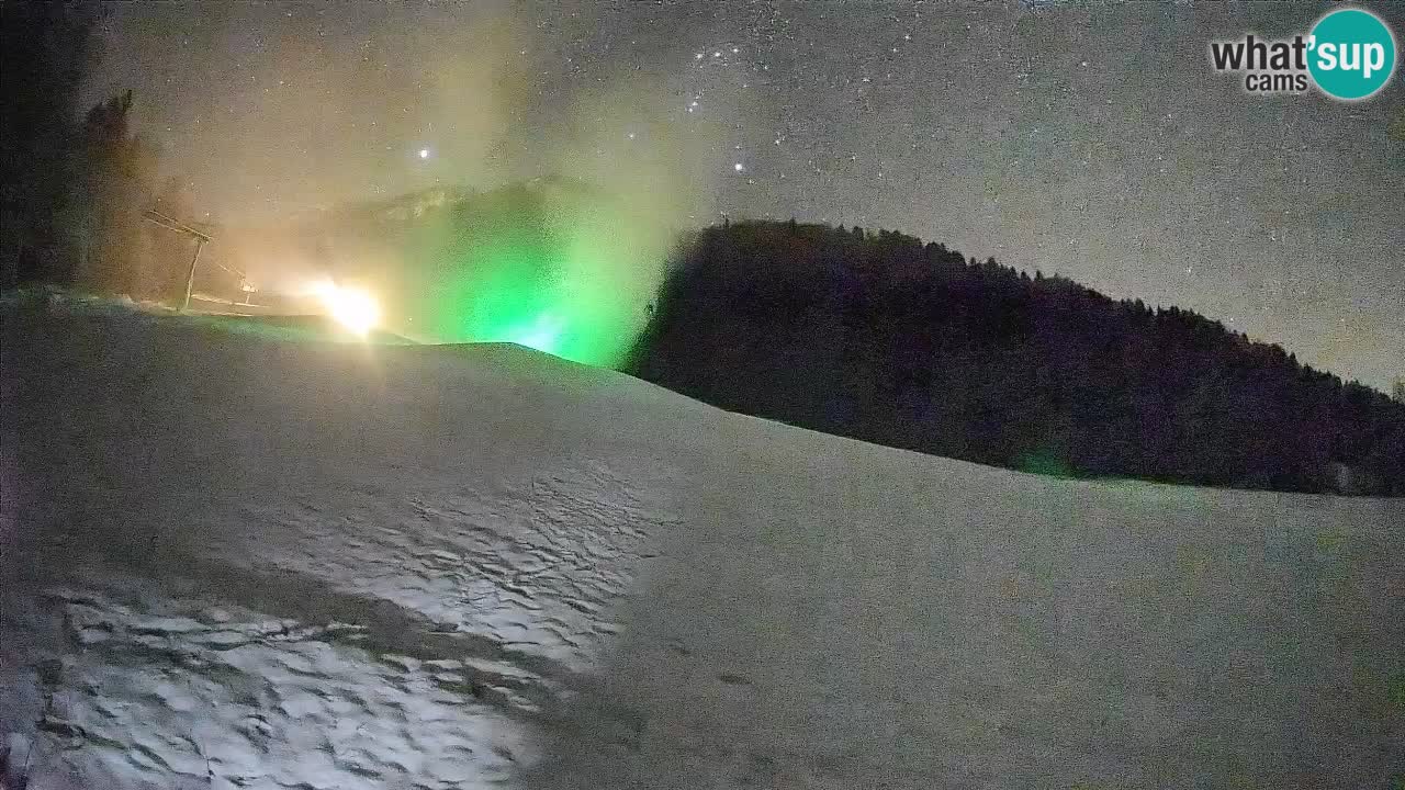 Kranjska Gora Station de ski | Brsnina