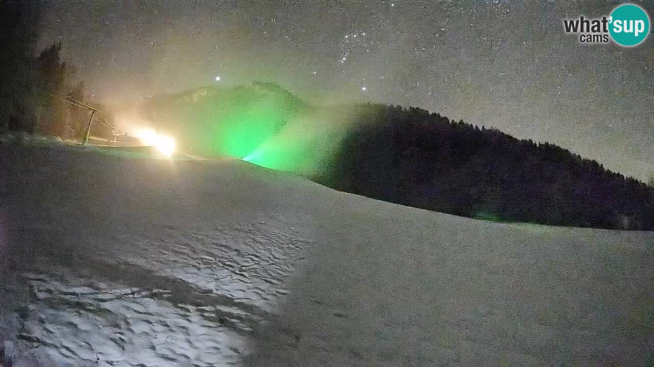 RTC Skigebiet Kranjska Gora | Brsnina