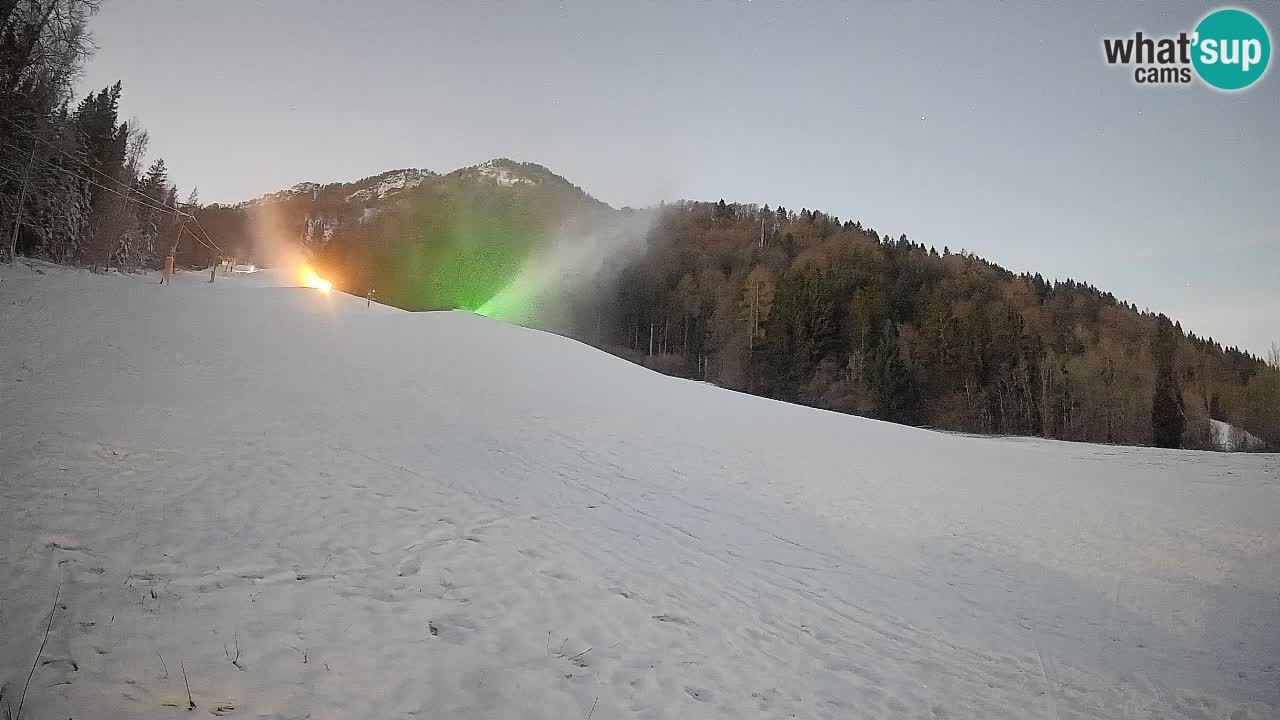 Comprensorio sciistico Kranjska Gora | Brsnina