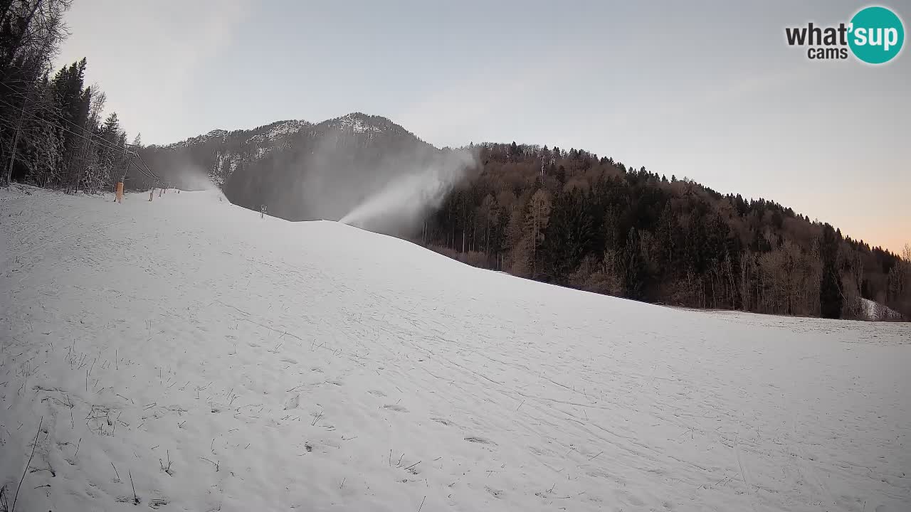 Comprensorio sciistico Kranjska Gora | Brsnina