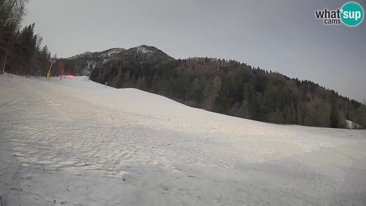 Ski Kranjska Gora | Brsnina