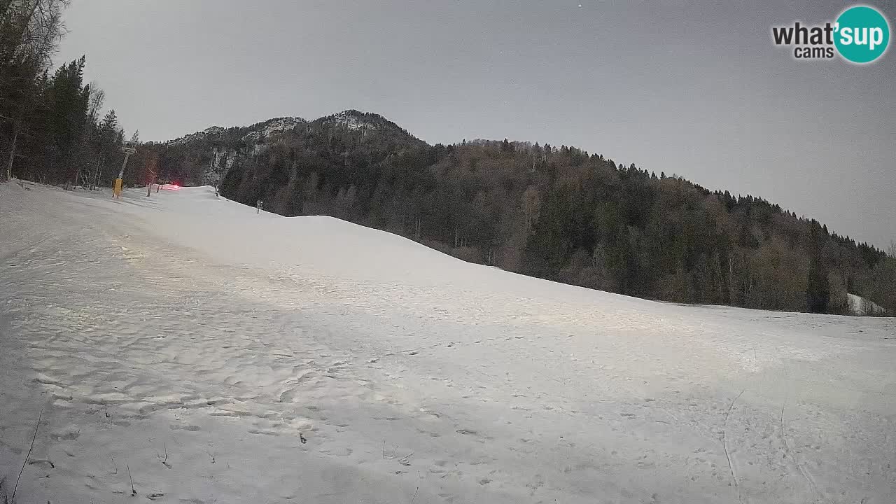 RTC Kranjska Gora | Brsnina