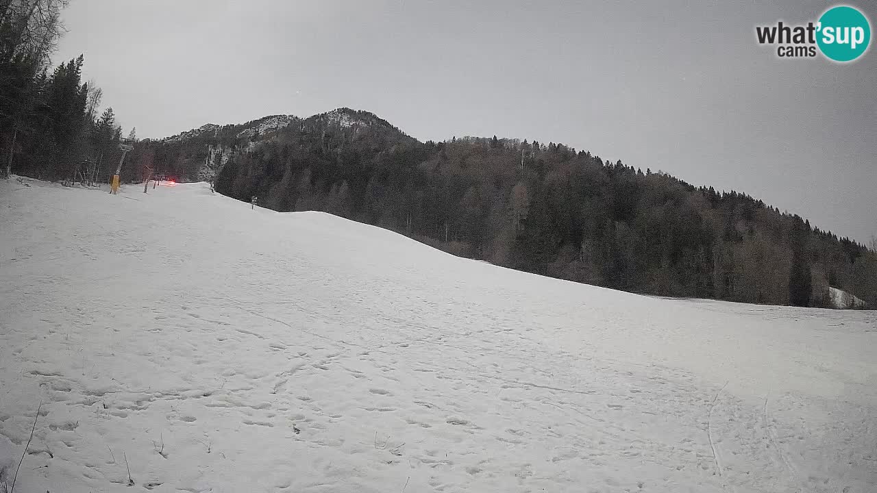 Kranjska Gora SKIJANJE | Brsnina
