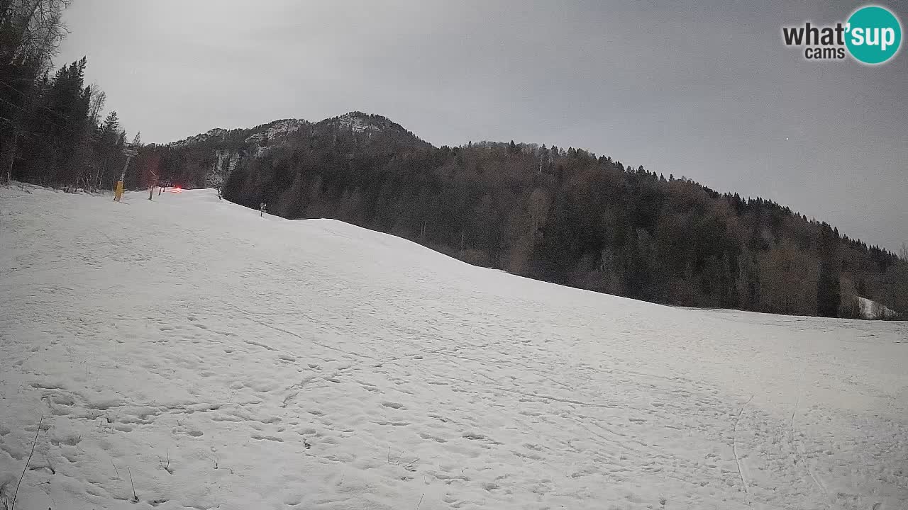 Ski Kranjska Gora | Brsnina