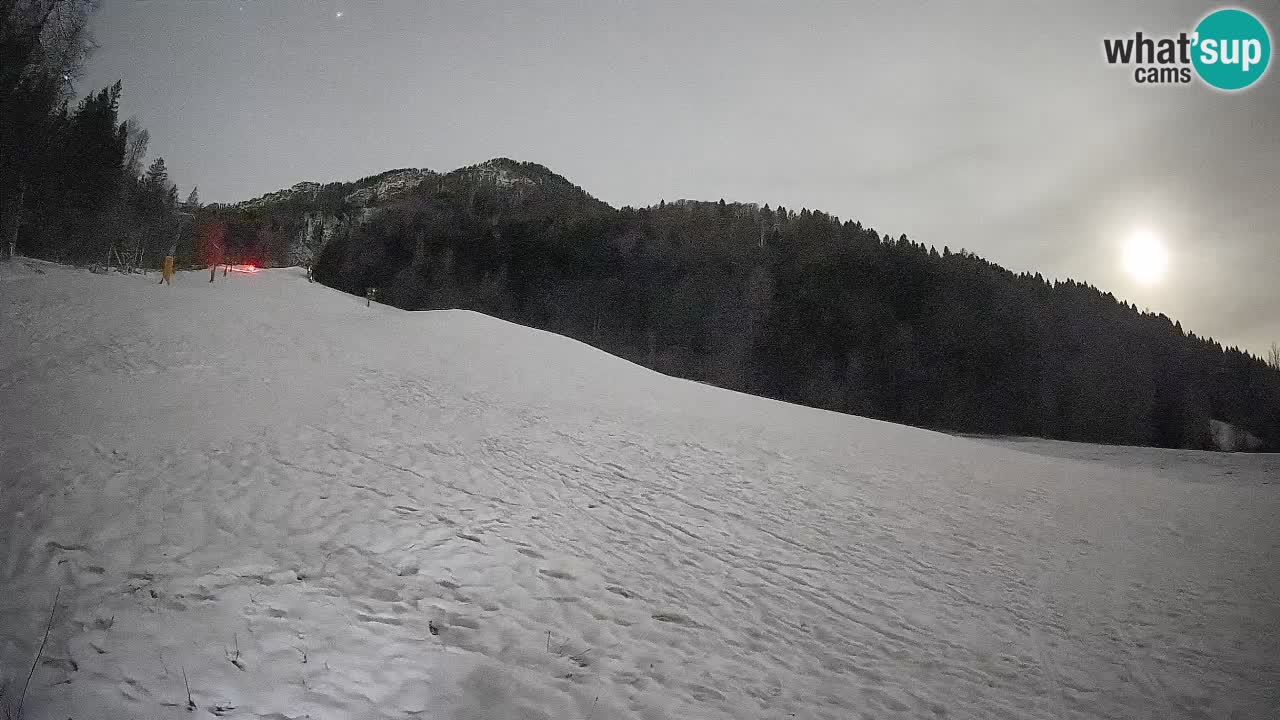 Esquí Kranjska Gora | Brsnina