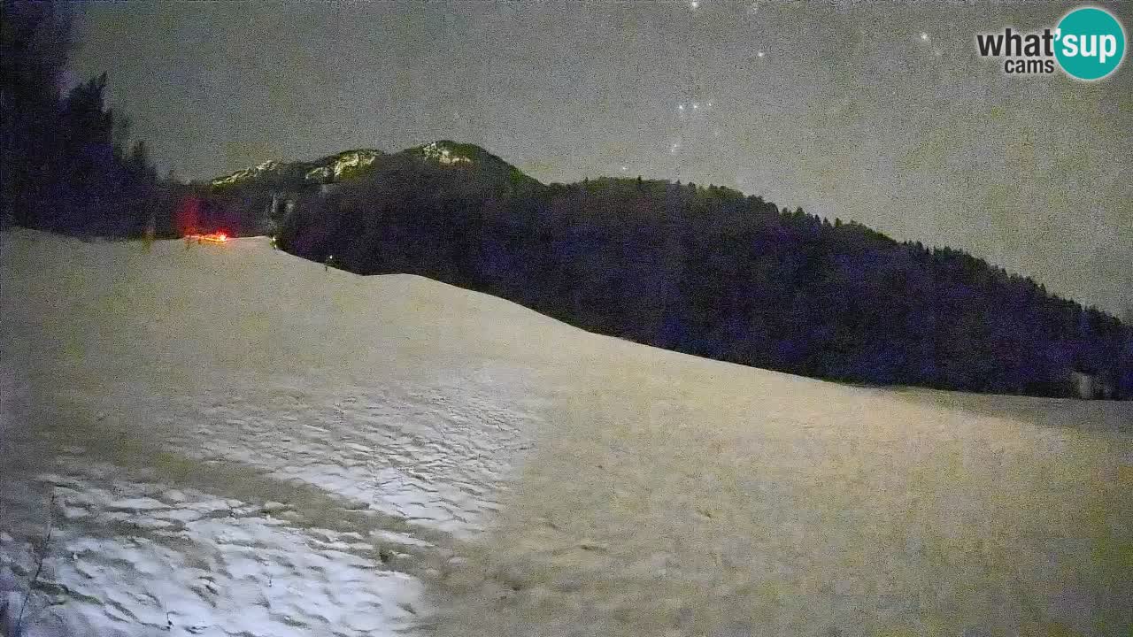 Ski Kranjska Gora | Brsnina