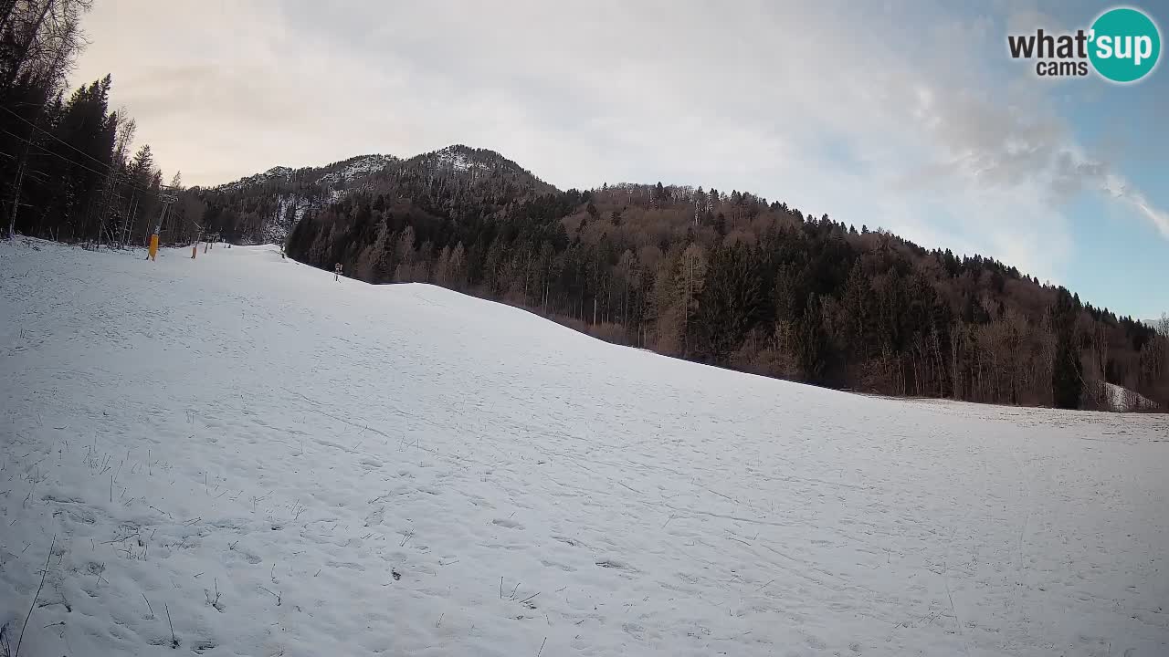 Ski Kranjska Gora | Brsnina