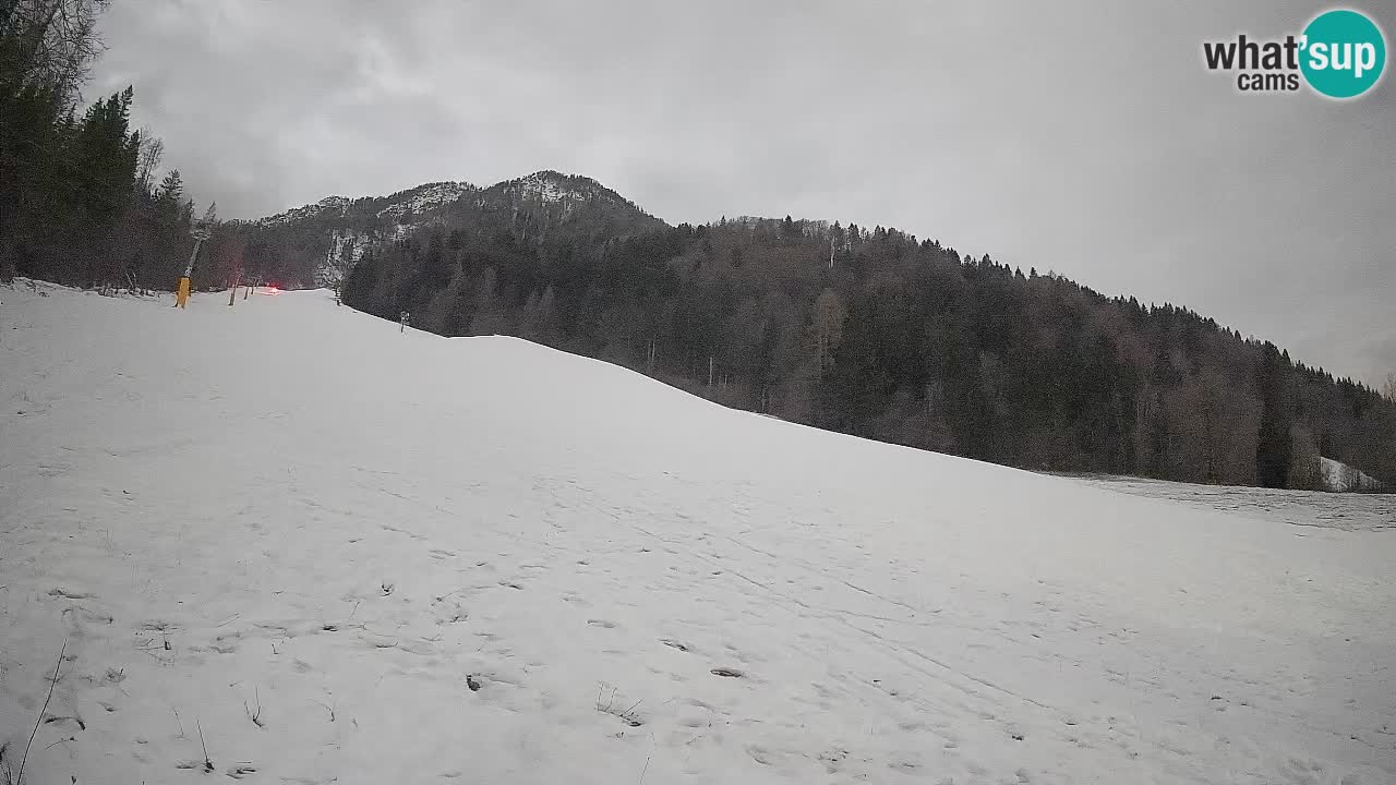Esquí Kranjska Gora | Brsnina