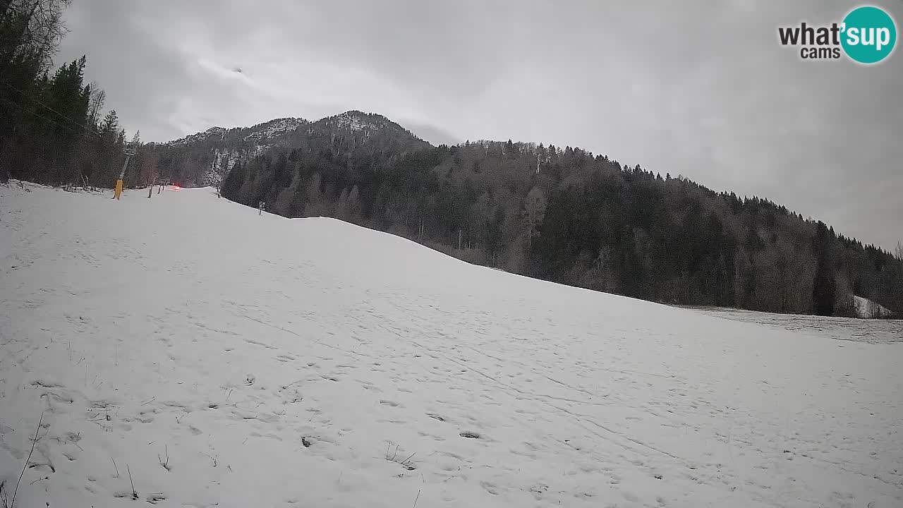 RTC Skigebiet Kranjska Gora | Brsnina