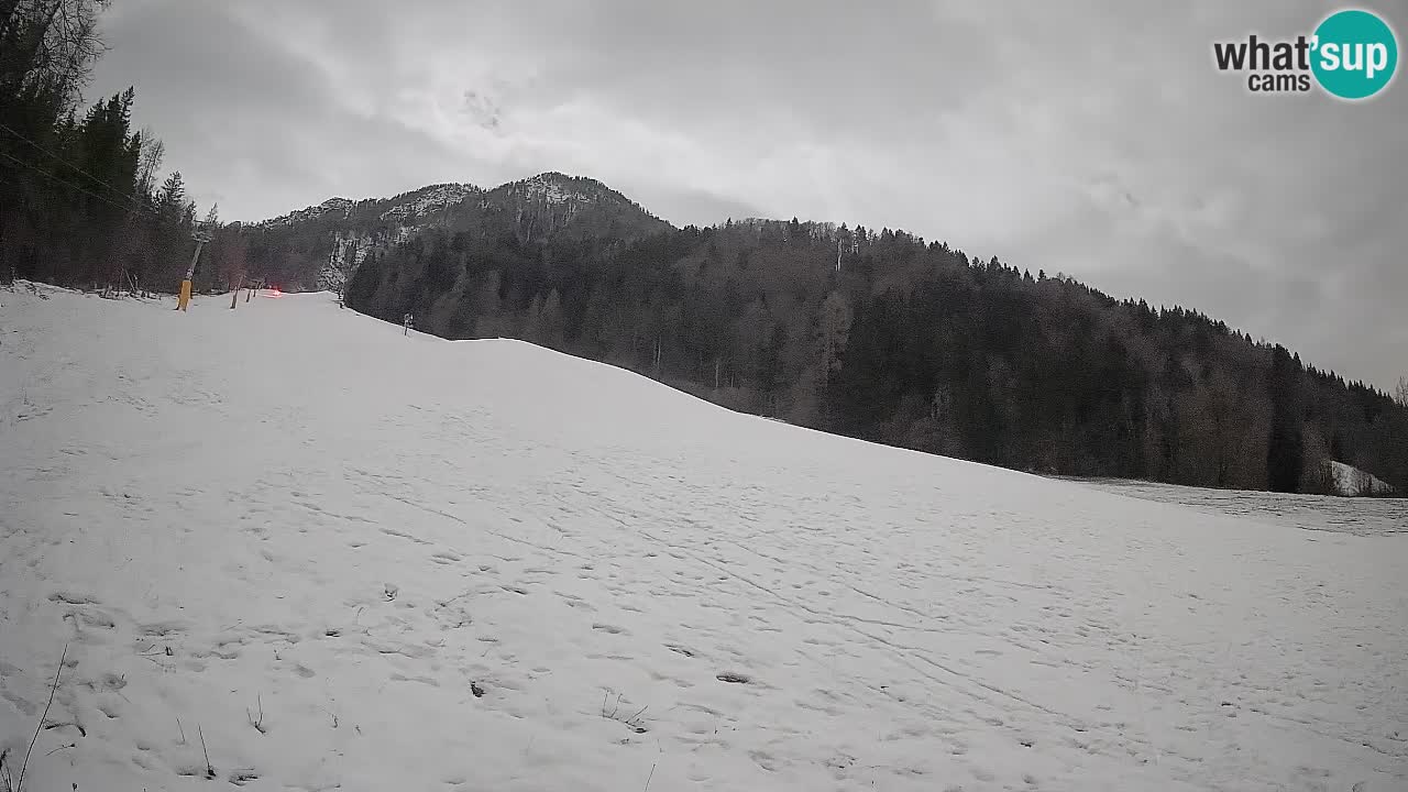 RTC Skigebiet Kranjska Gora | Brsnina