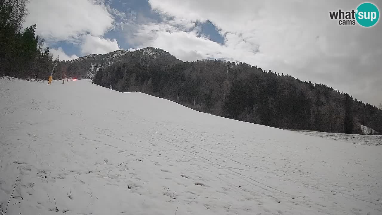RTC Skigebiet Kranjska Gora | Brsnina