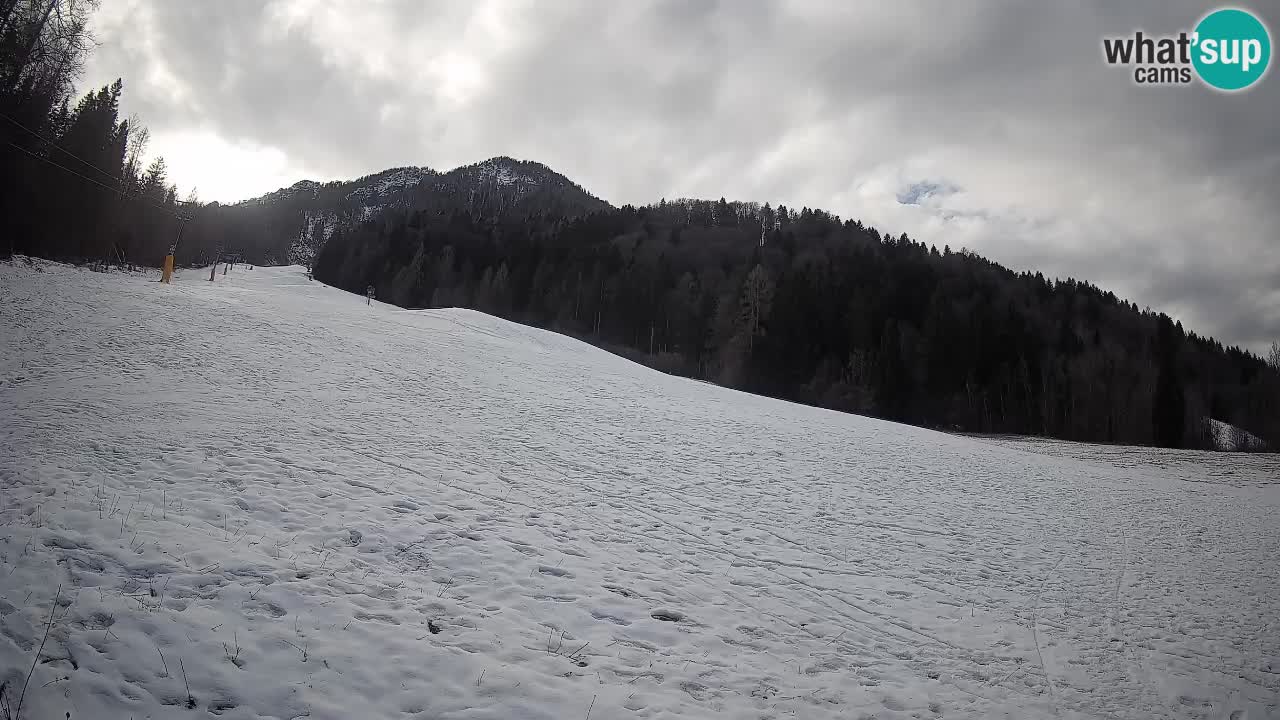 Esquí Kranjska Gora | Brsnina