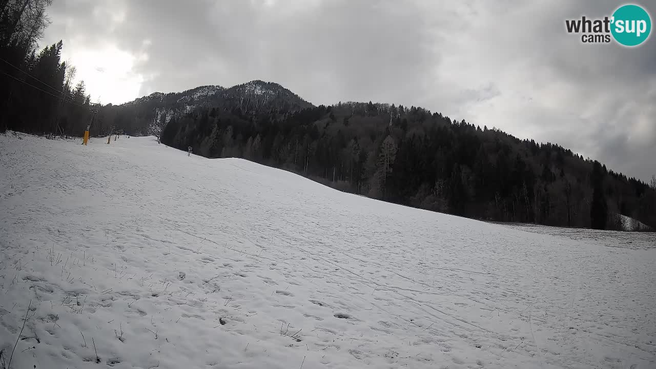 Kranjska Gora Station de ski | Brsnina