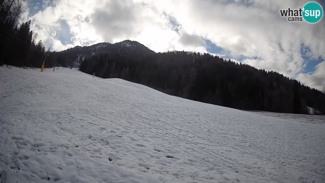 Kranjska Gora Station de ski | Brsnina