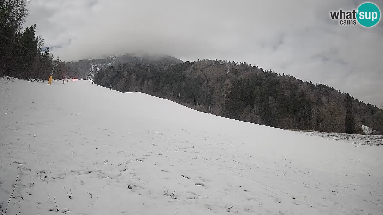 Ski Kranjska Gora | Brsnina