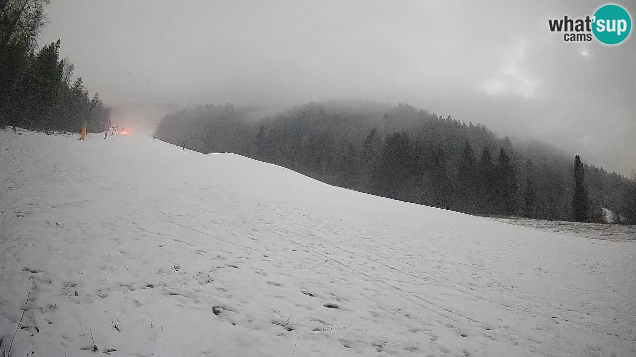 Comprensorio sciistico Kranjska Gora | Brsnina