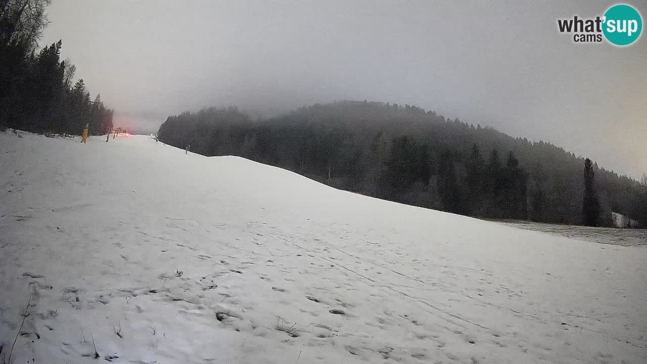 Kranjska Gora Station de ski | Brsnina