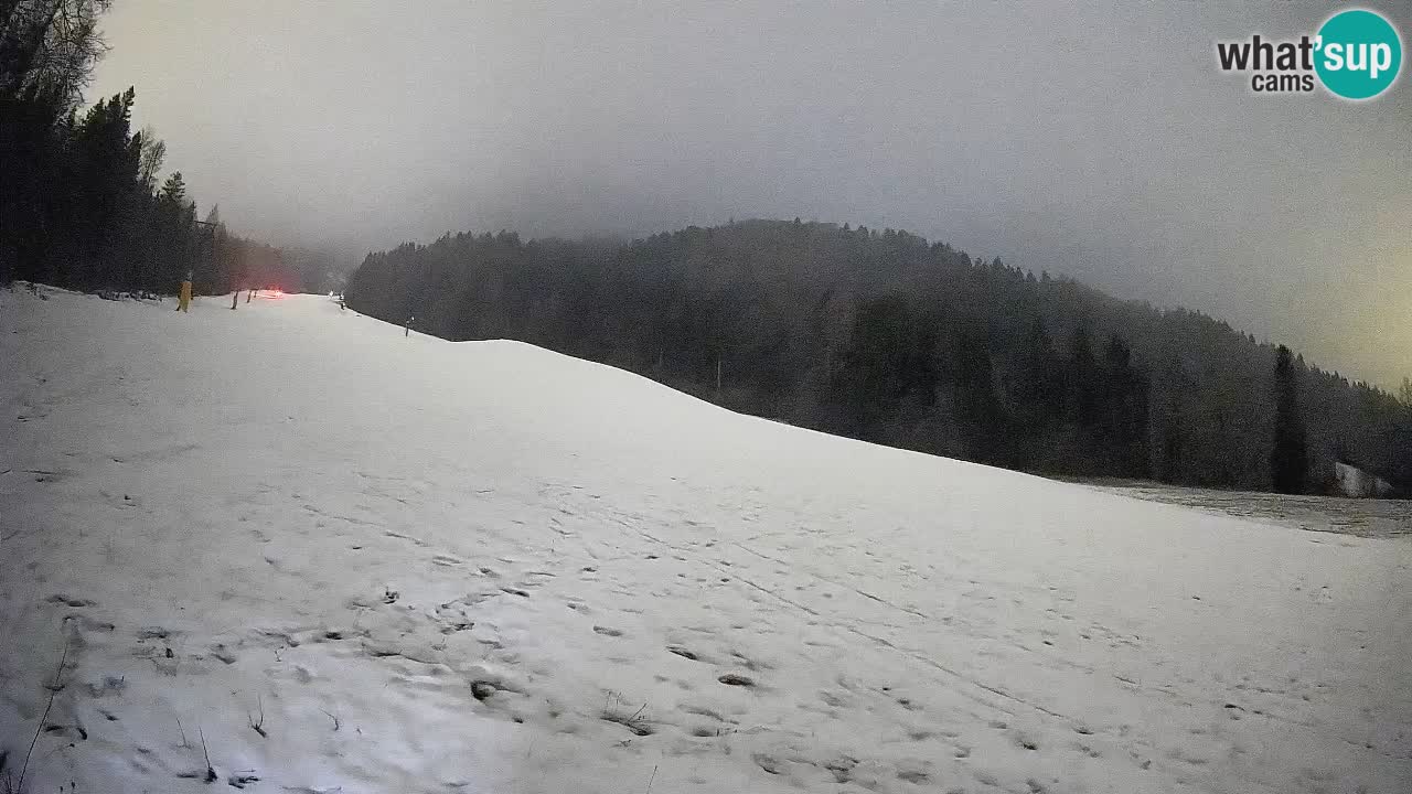 Kranjska Gora Station de ski | Brsnina