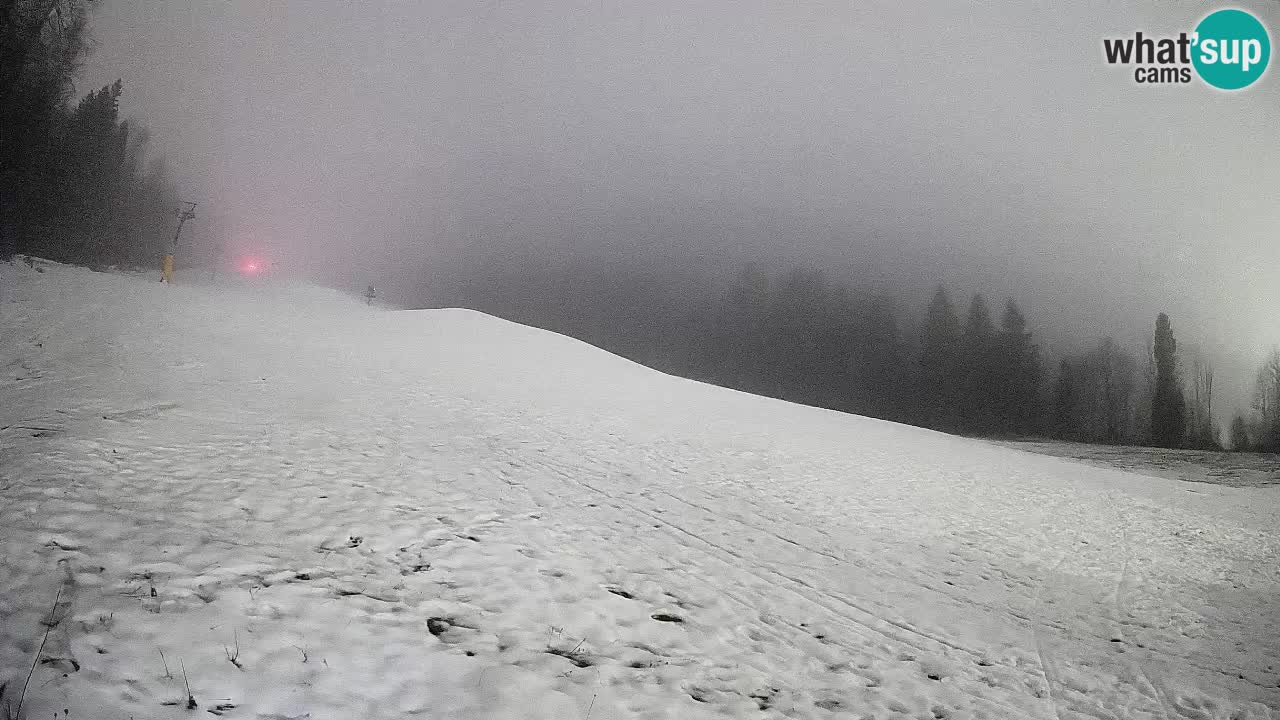 Ski Kranjska Gora | Brsnina