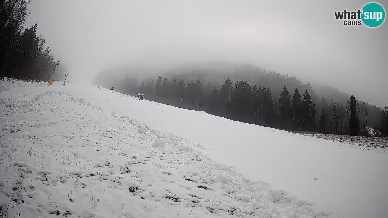 RTC Kranjska Gora | Brsnina