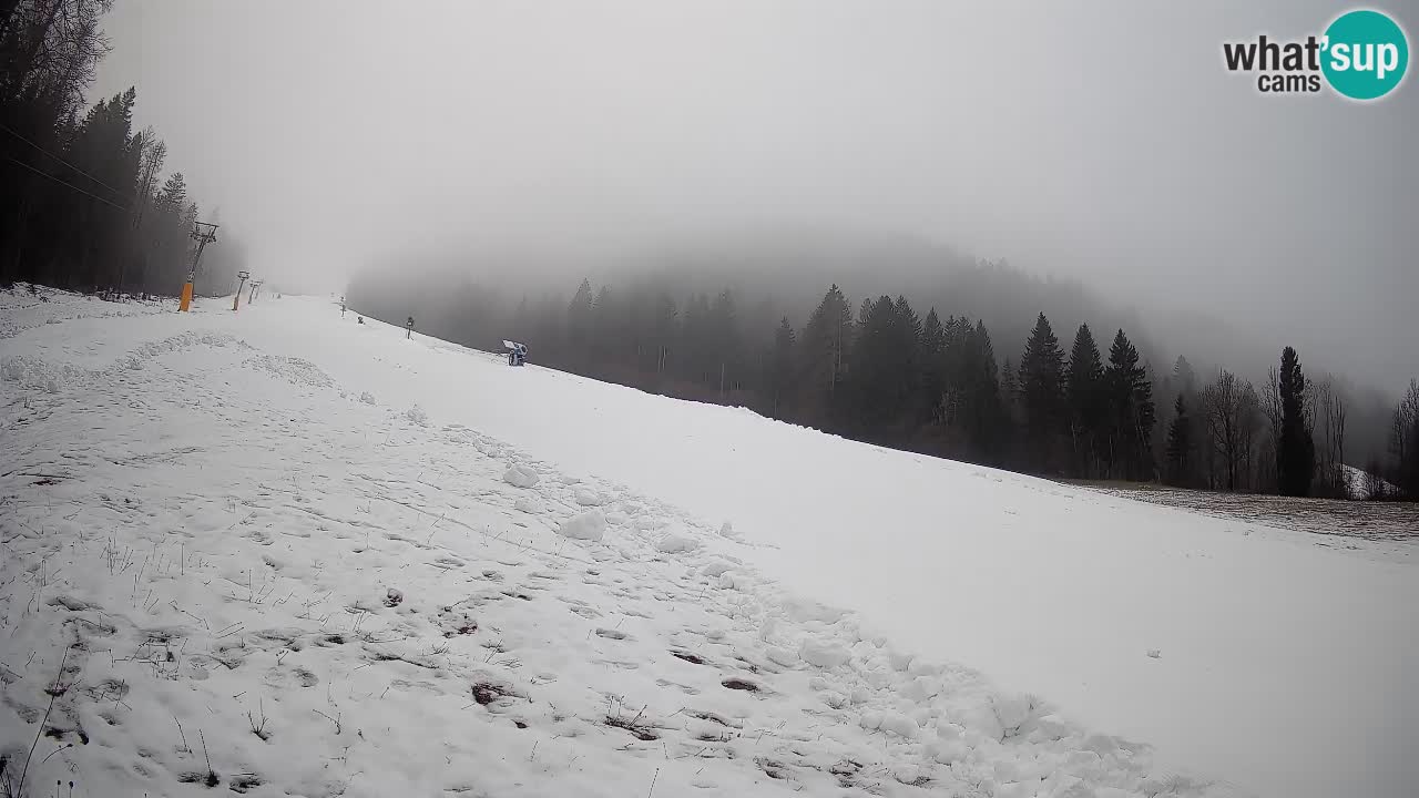 RTC Kranjska Gora | Brsnina