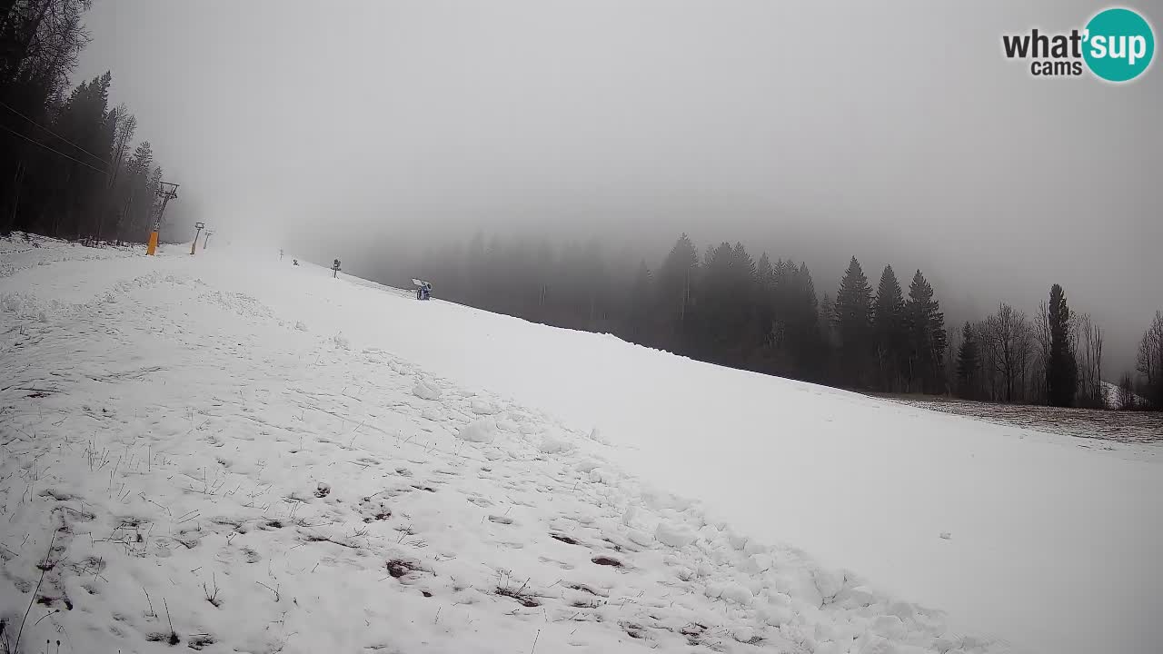 RTC Skigebiet Kranjska Gora | Brsnina