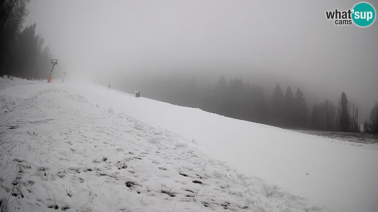 RTC Kranjska Gora | Brsnina