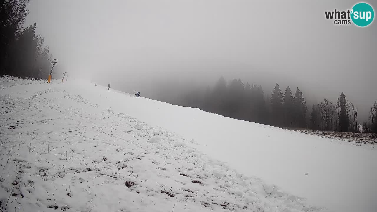 RTC Kranjska Gora | Brsnina