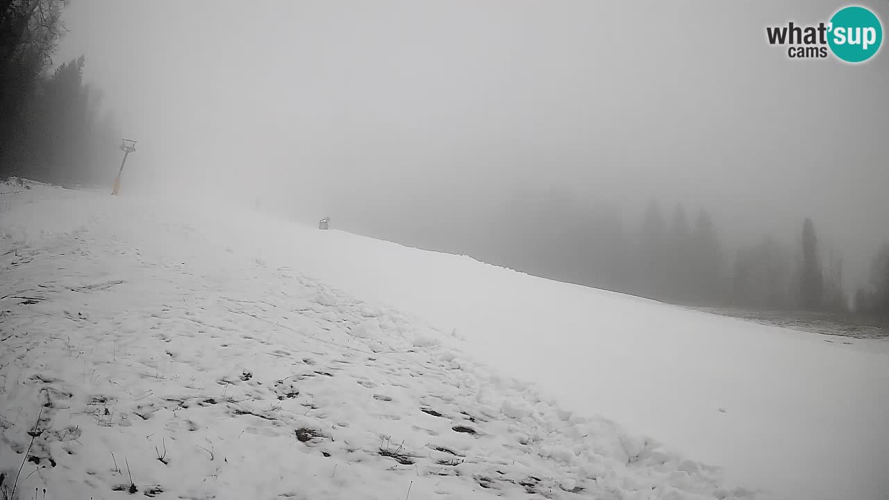 RTC Skigebiet Kranjska Gora | Brsnina