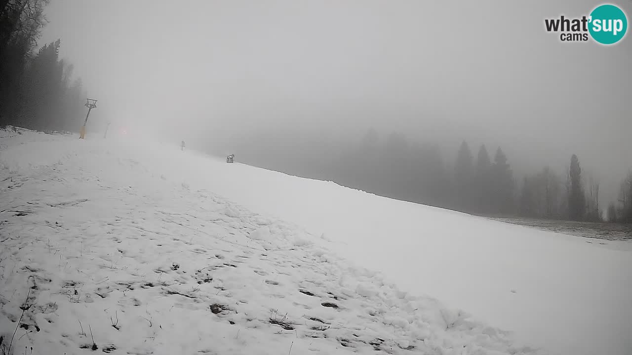 RTC Kranjska Gora | Brsnina