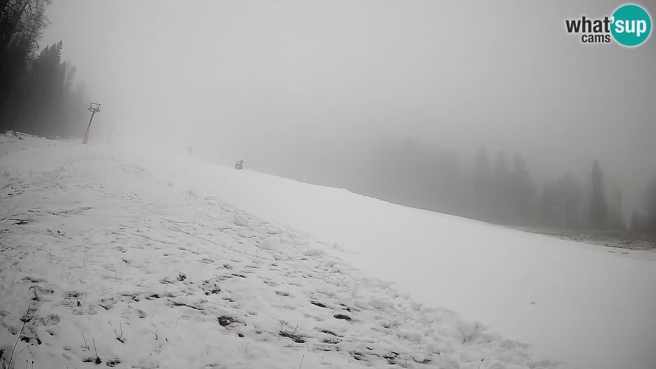 Ski Kranjska Gora | Brsnina