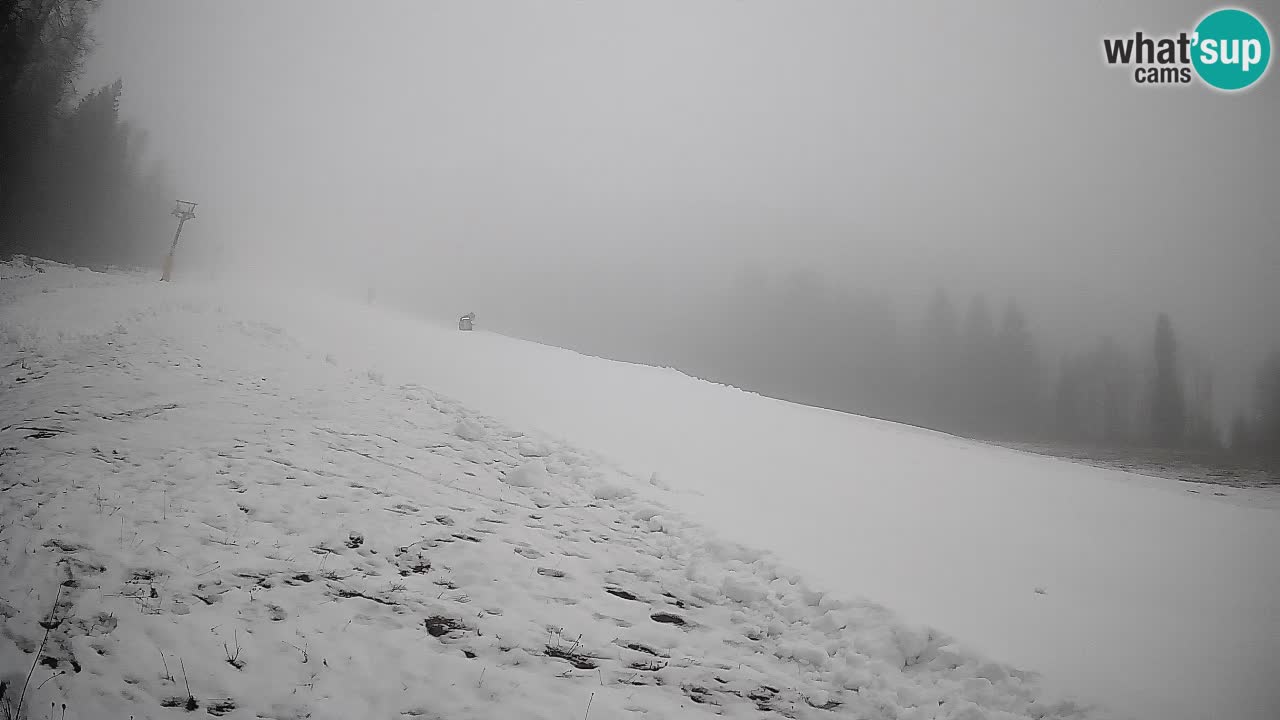 RTC Kranjska Gora | Brsnina