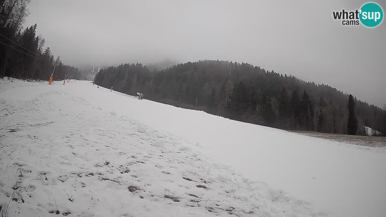 Comprensorio sciistico Kranjska Gora | Brsnina